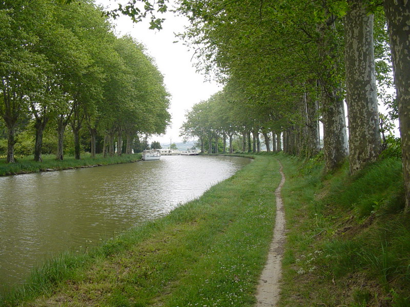 Carcassonne Trebe_22.JPG