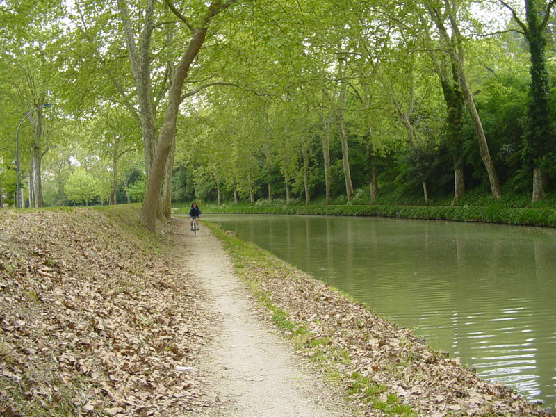 Carcassonne Trebe_33.JPG