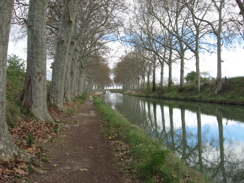 Colombiers Marseillan_02.jpg