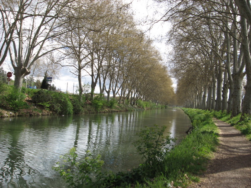Colombiers Marseillan_24.jpg