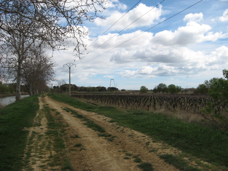 Colombiers Marseillan_55.jpg