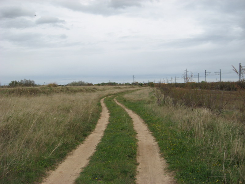Colombiers Marseillan_82.jpg