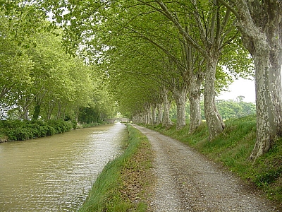 Thumbnail of Carcassonne Trebe_24.JPG