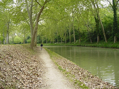 Thumbnail of Carcassonne Trebe_33.JPG
