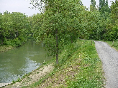 Thumbnail of Carcassonne Trebe_43.JPG