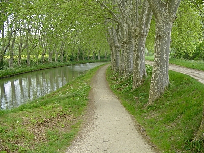 Thumbnail of Carcassonne Trebe_46.JPG
