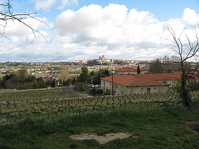Thumbnail of Colombiers Marseillan_11.jpg