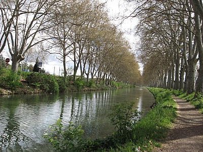 Thumbnail of Colombiers Marseillan_24.jpg