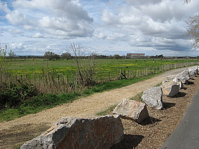 Thumbnail of Colombiers Marseillan_37.jpg