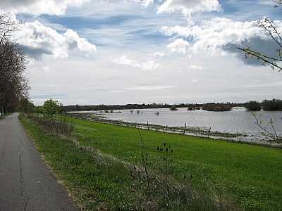 Thumbnail of Colombiers Marseillan_39.jpg