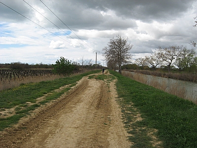 Thumbnail of Colombiers Marseillan_54.jpg