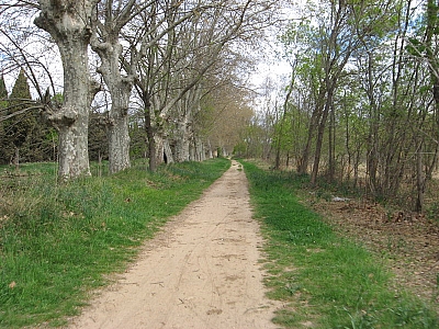 Thumbnail of Colombiers Marseillan_67.jpg
