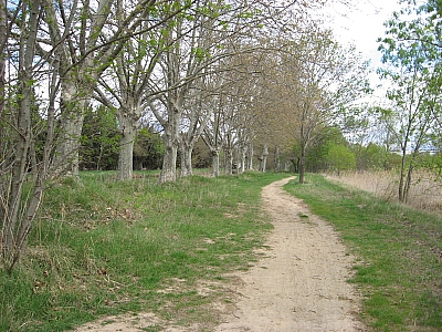 Thumbnail of Colombiers Marseillan_68.jpg