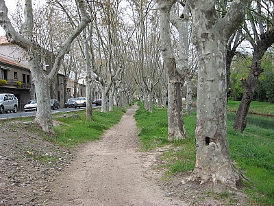Thumbnail of Colombiers Marseillan_74.jpg