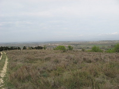 Thumbnail of Colombiers_16.jpg