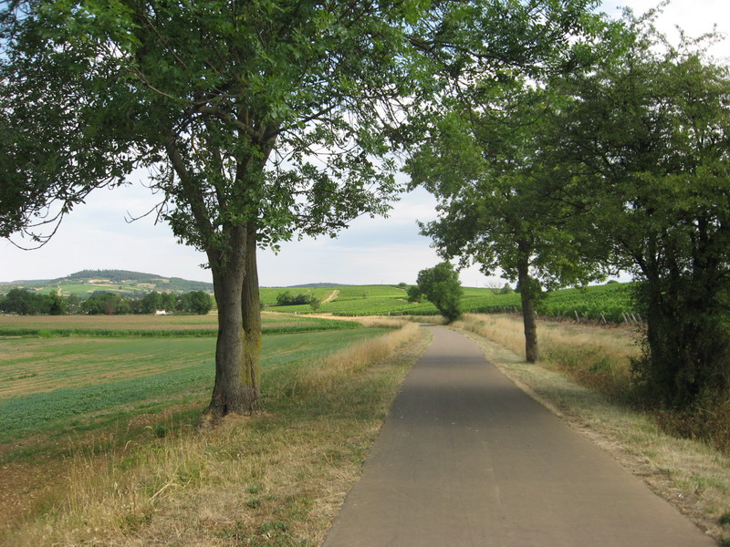 Chalon Macon_009.jpg