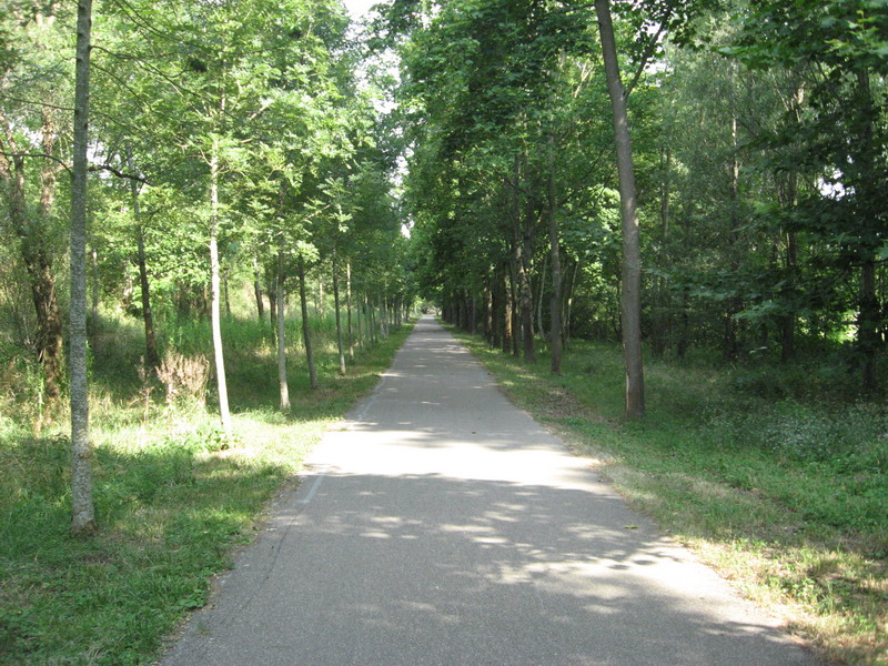 Chalon Macon_018.jpg