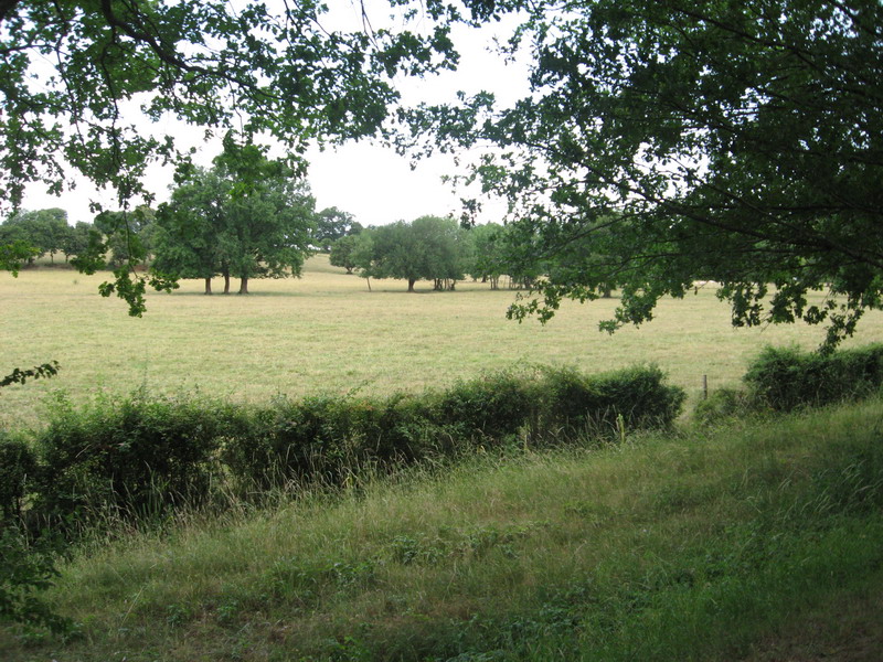 Chalon Macon_075.jpg
