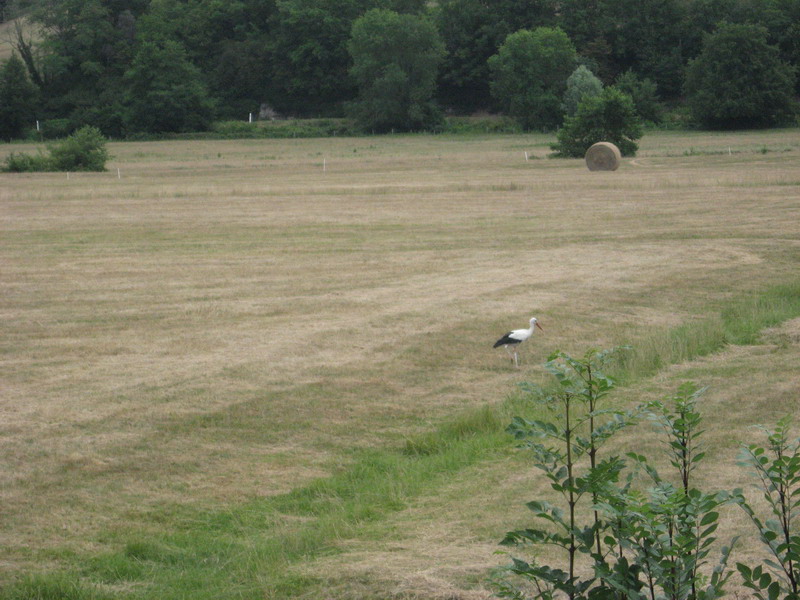 Chalon Macon_081.jpg
