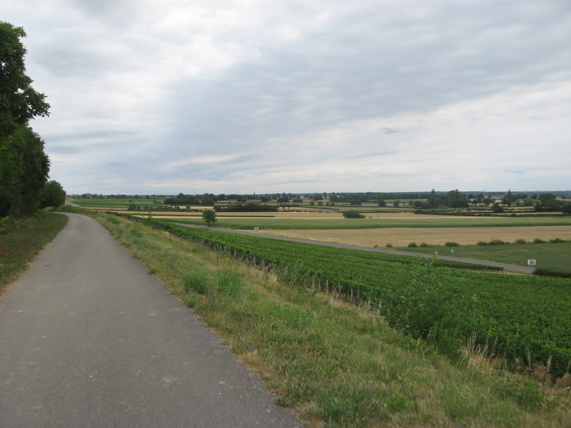 Chalon Macon_101.jpg