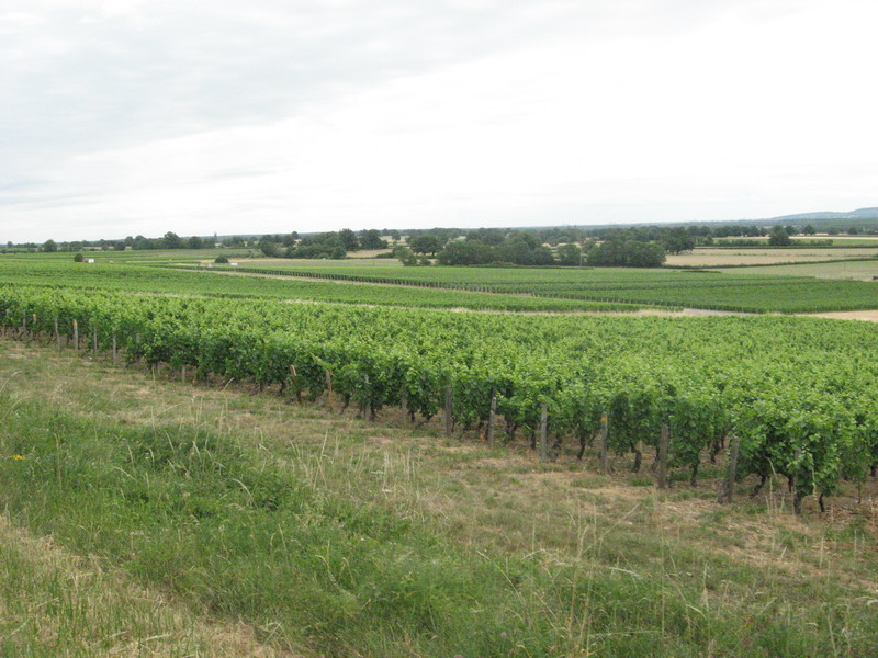 Chalon Macon_102.jpg