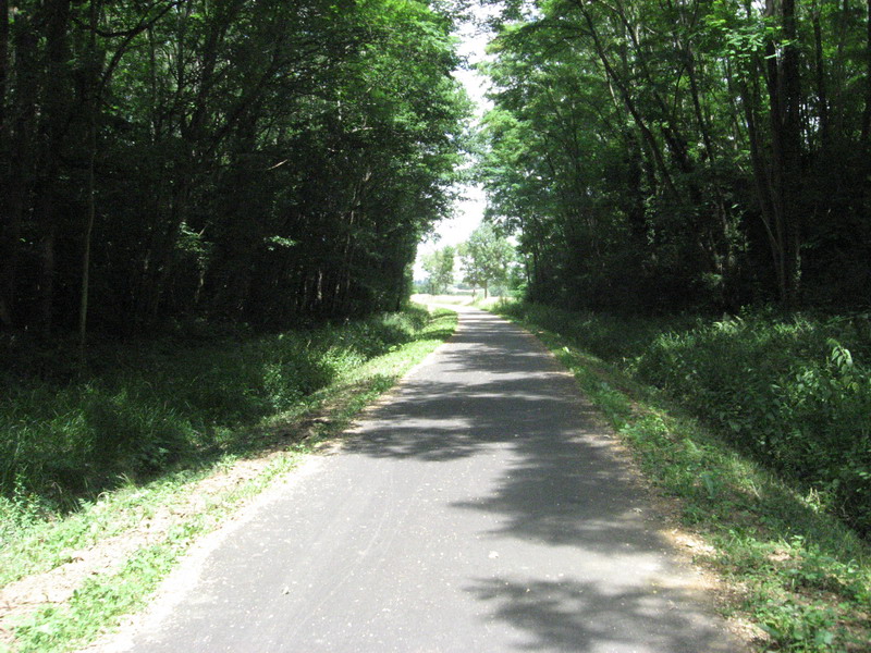Chalon Macon_122.jpg