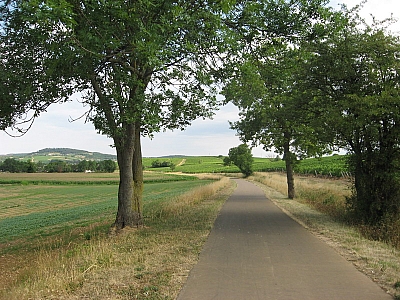 Thumbnail of Chalon Macon_009.jpg