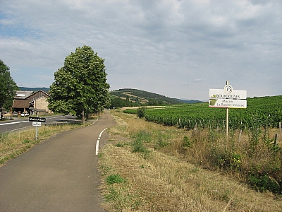 Thumbnail of Chalon Macon_014.jpg