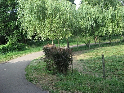 Thumbnail of Chalon Macon_016.jpg