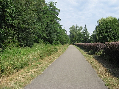 Thumbnail of Chalon Macon_017.jpg