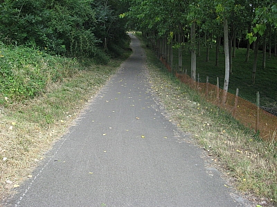 Thumbnail of Chalon Macon_025.jpg