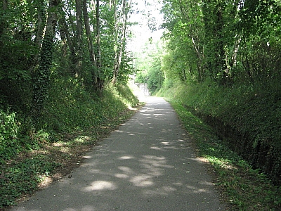 Thumbnail of Chalon Macon_035.jpg