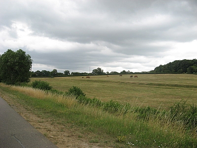 Thumbnail of Chalon Macon_065.jpg