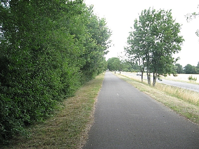 Thumbnail of Chalon Macon_076.jpg