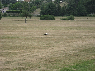 Thumbnail of Chalon Macon_082.jpg