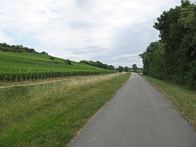 Thumbnail of Chalon Macon_099.jpg