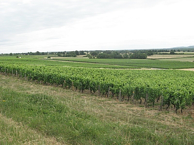 Thumbnail of Chalon Macon_102.jpg