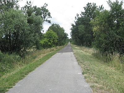 Thumbnail of Chalon Macon_105.jpg