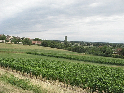 Thumbnail of Chalon Macon_106.jpg
