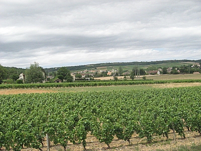 Thumbnail of Chalon Macon_107.jpg