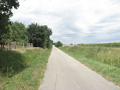 Thumbnail of Chalon Macon_114.jpg