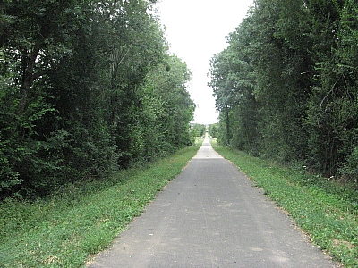 Thumbnail of Chalon Macon_115.jpg