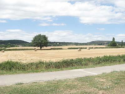 Thumbnail of Chalon Macon_124.jpg