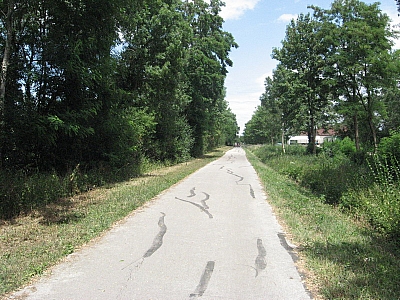 Thumbnail of Chalon Macon_126.jpg
