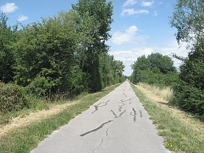 Thumbnail of Chalon Macon_131.jpg