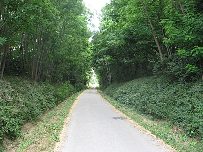 Thumbnail of Chalon Macon_134.jpg