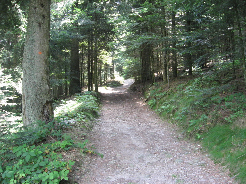 goufre d enfer_45.JPG