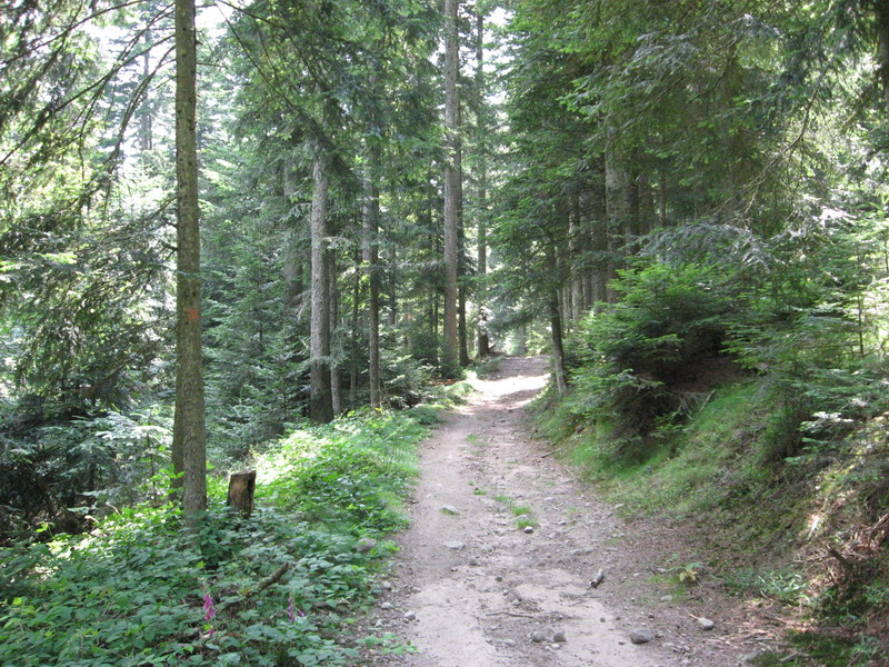 goufre d enfer_46.JPG