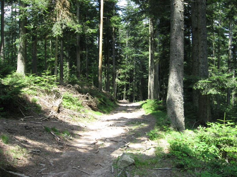 goufre d enfer_47.JPG