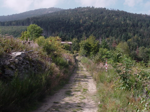 parc du pilat5